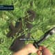Far Cry 3 Crafting Guide - Extended Syringe Kit: Target down!