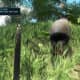 Far Cry 3 Crafting Guide - Extended Munitions Pouch: It Does!