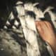 Archaeology 101 - Gameplay 07: Far Cry 3 Relic 17, Spider 17.