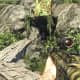 Archaeology 101 - Gameplay 01: Far Cry 3 Relic 17, Spider 17.