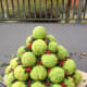 Completed Hedge Apple Christmas Tree