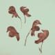 how-to-press-flowers-for-cards-and-pictures