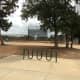 Baseball and Softball Fields at Williamson County Regional Park  Leander and Cedar Park TX