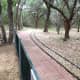 Train track through lovely tree shaded Oaks Williamson County Regional Park  Leander and Cedar Park TX