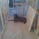 Maggie staked out her claim early