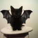 black-cat-halloween-invitations