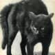 black-cat-halloween-invitations