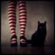 black-cat-halloween-invitations