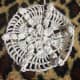 candycanesdoily