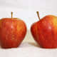 cameo red apples