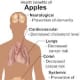 red-apple-benefits-the-health-benefits-of-eating-a-red-apple