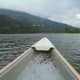 Get some fishing in... Food doesn't have to be transported from a far to get to your dinner plate