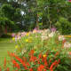 "Garden of Eden" flowers.