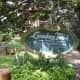 Herbal and Medicinal Garden