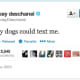 six-reasons-why-zooey-deschanel-is-an-amazing-role-model