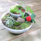 Here's the finished fairy garden. I added a stone, some hen-and-chicks and some moss to the lower section.