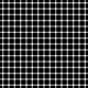 Can you count the black dots?  There are no black dots in this illusions, all the dots are white.