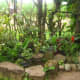 why-shift-to-planting-ornamental-plants