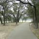 Walking Trails Dick Nichols Park Austin TX