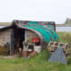 Fisherman's hut by the Ouse with view of Lindisfarne Castle. Several of these boat conversions along the edge of this small harbour on Holy Island.