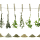 HERBS: 7 grams (.25 oz) of your favorite herbs or spice for each cup (8 oz) of oil