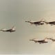 F-16s of the USAF Thunderbirds.