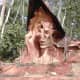 Osun-Osogbo-Sacred-Grove