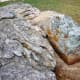 mary-jo-peckham-park-in-katy-texas-bird-sightings-and-more