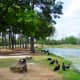 mary-jo-peckham-park-in-katy-texas-bird-sightings-and-more
