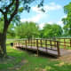 One of many bridges in the park