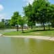 Park view
