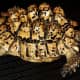Leopard Tortoise