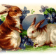 Free vintage Easter images: two Easter bunnies with egg and flowers