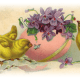 Vintage Easter images: three yellow baby chicks with pink Easter egg filled with lavender