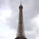 The Eiffel Tower rising above the treetops - a good illustration of the immense height of the building; once the world's tallest