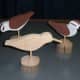 how-to-make-a-shorebird-decoy