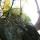 tanawha-trail-blue-ridge-parkway-blowing-rock