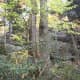 tanawha-trail-blue-ridge-parkway-blowing-rock