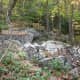 tanawha-trail-blue-ridge-parkway-blowing-rock