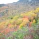 tanawha-trail-blue-ridge-parkway-blowing-rock