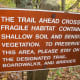 tanawha-trail-blue-ridge-parkway-blowing-rock