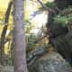 tanawha-trail-blue-ridge-parkway-blowing-rock