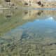 Crystal Clear Waters of Surajtaal