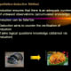 hypothetico-deductive-method-in-business-research