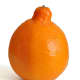 This minneola was photographed by Amada44 on January 15, 2011.
