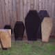 My sister made coffins in various sizes for Halloween ard displays. Family photo, Vernatopia.com.