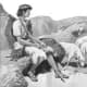 David the shepherd boy