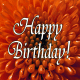 Happy Birthday orange floral.
