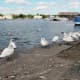 bowness-on-windermere
