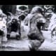 Winter Ceremonial Dance